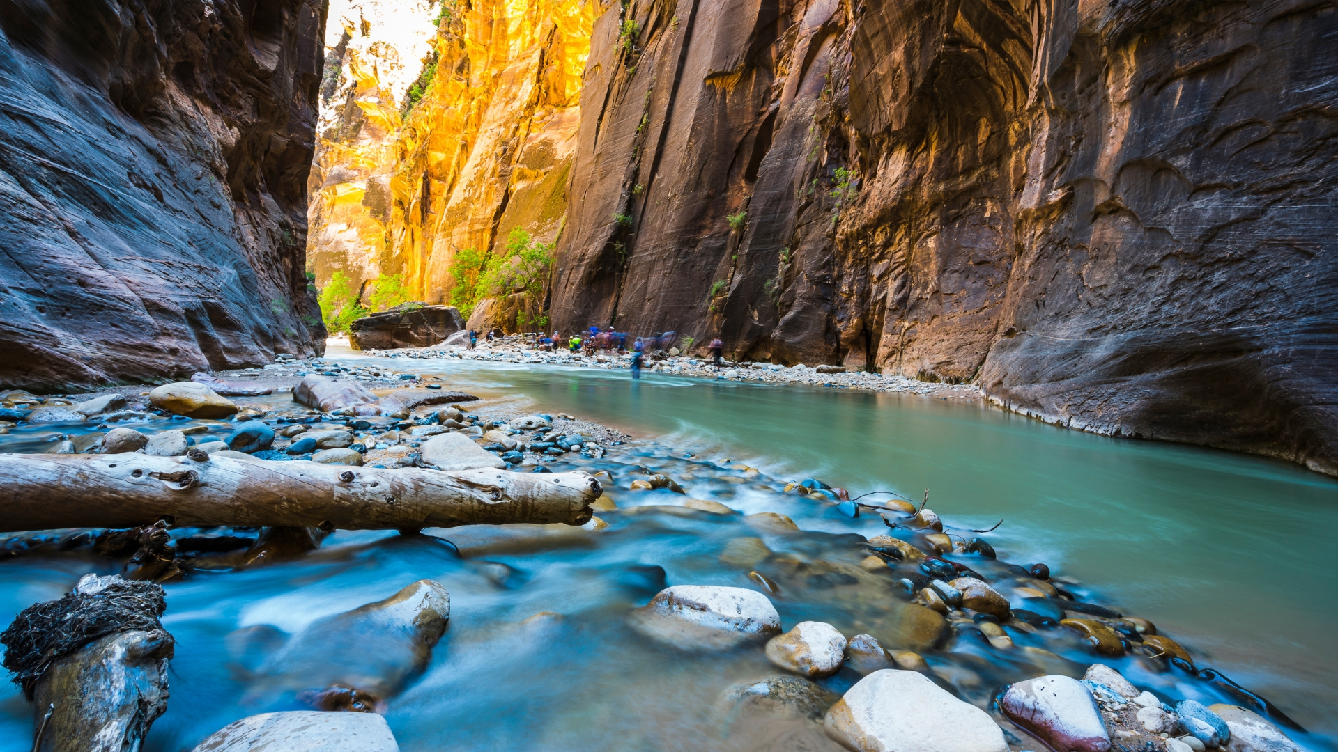 Zion National Park, Best solo travel destinations in the USA