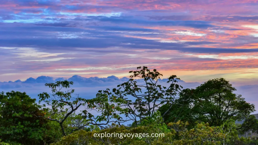 Best Places to go in Costa Rica in January, Monteverde