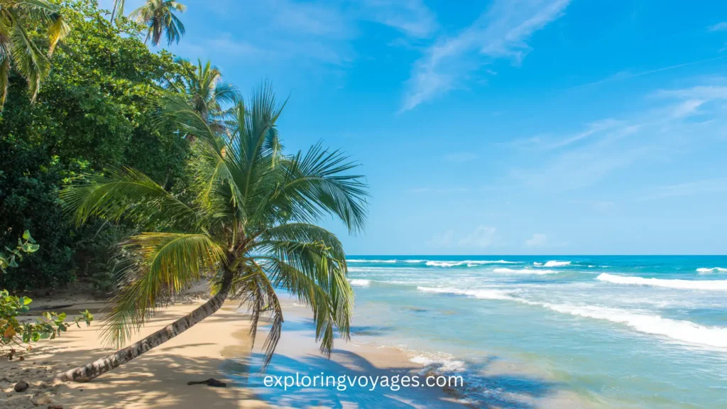 Best Places to go in Costa Rica in January, Puerto Viejo