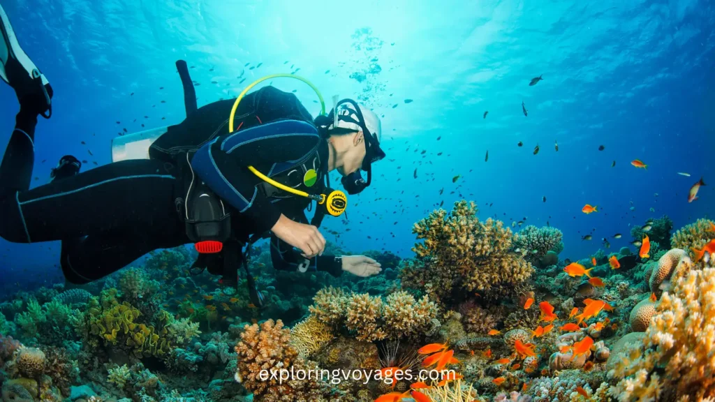 bucket list activities in india, Andaman and Nicobar Islands, Scuba Diving in the Andaman and Nicobar Islands