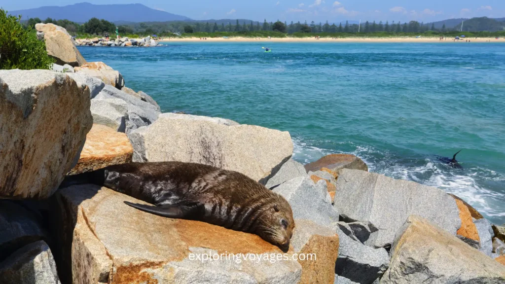 Best Beaches in East Coast Australia